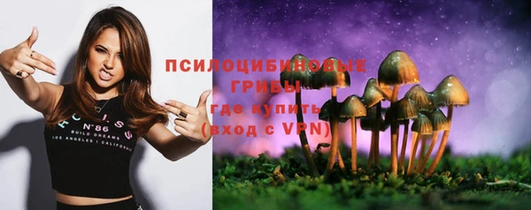 мдпв Нефтекумск