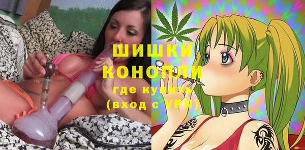 ГАЛЛЮЦИНОГЕННЫЕ ГРИБЫ Нея