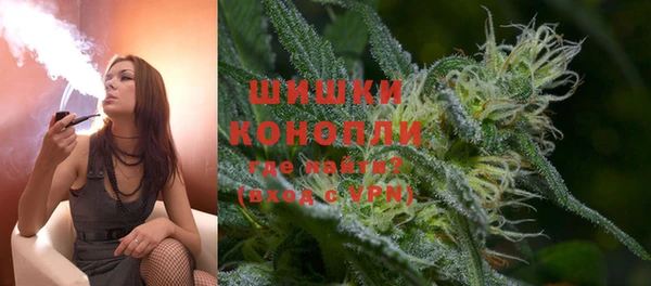 ГАЛЛЮЦИНОГЕННЫЕ ГРИБЫ Нея