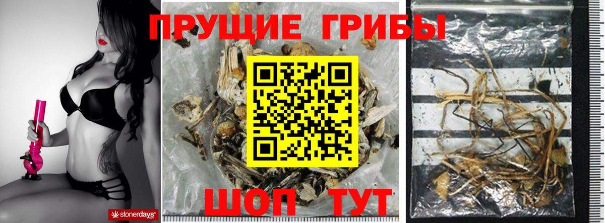 Галлюциногенные грибы Cubensis  Вход с VPN  Урус-Мартан  Галлюциногенные грибы мухоморы 